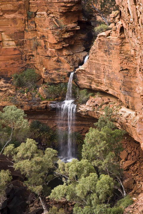 Kings Creek Station - C Tourism 0
