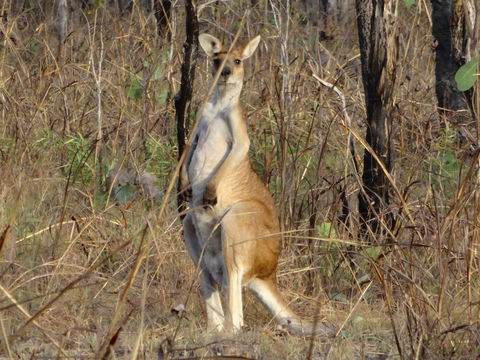 Mount Bundy Station - C Tourism 41