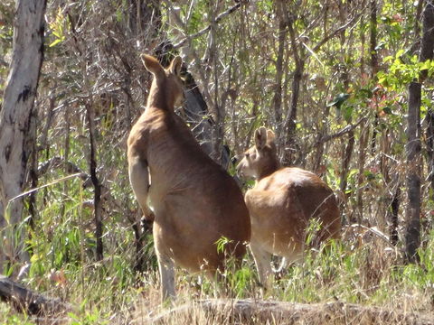 Mount Bundy Station - C Tourism 40
