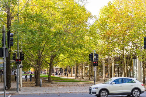 Highgate Executive Apartment City Walk Canberra - C Tourism 37