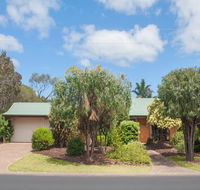 Bottlebrush - C Tourism