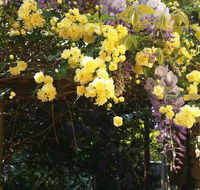 Bowral Road Bed and Breakfast - C Tourism