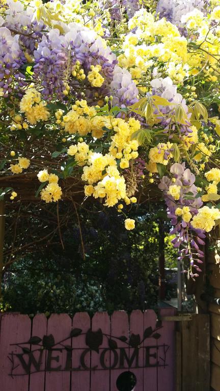 Bowral Road Bed And Breakfast - C Tourism 0