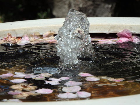 Bowral Road Bed And Breakfast - C Tourism 2