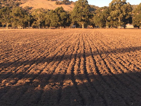 Braybrook Boutique BnB - C Tourism 1