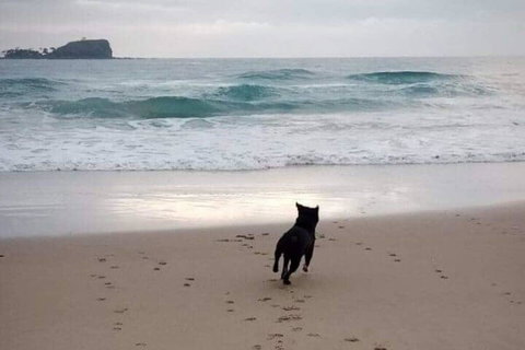 Breakers At Mudjimba Beach - C Tourism 0