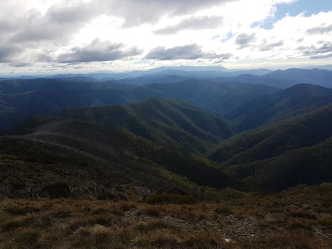 Bright's Wombat's Retreat - C Tourism 1
