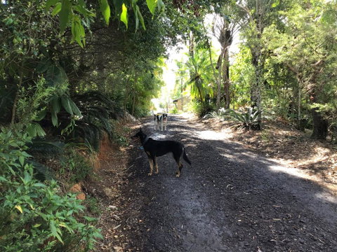 Bunya Cottage - C Tourism 2