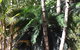 Bunya Cottage - thumb 1