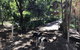 Bunya Cottage - thumb 3