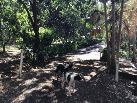 Bunya Cottage - C Tourism 3