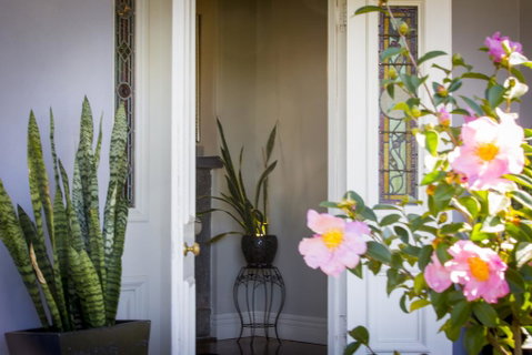 Camellia Cottage - C Tourism 3