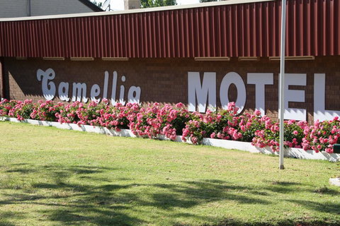 Camellia Motel - C Tourism 2