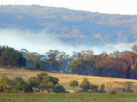 Candlebark Retreat - C Tourism 0