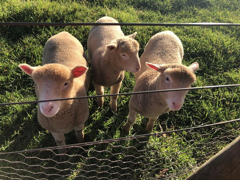 Cape View B And B - C Tourism 3