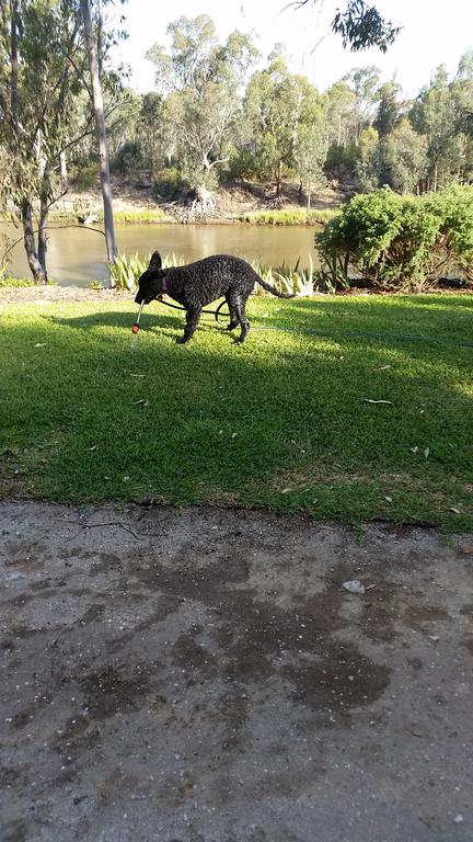 Captain's Cottage Bed & Breakfast - C Tourism 0