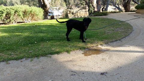 Captain's Cottage Bed & Breakfast - C Tourism 2