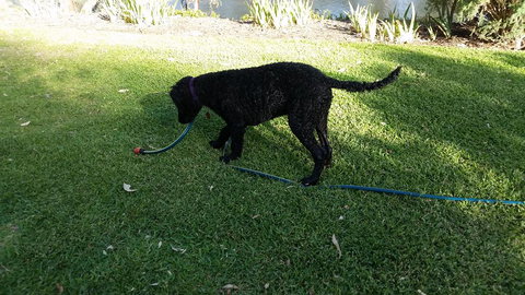 Captain's Cottage Bed & Breakfast - C Tourism 1