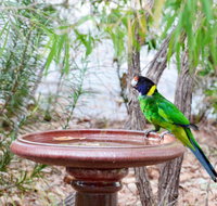 Caves Road Chalets - C Tourism