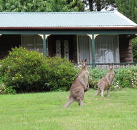 Cedar Lodge Cabins - C Tourism