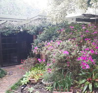 Charming country house close to Grafton - C Tourism