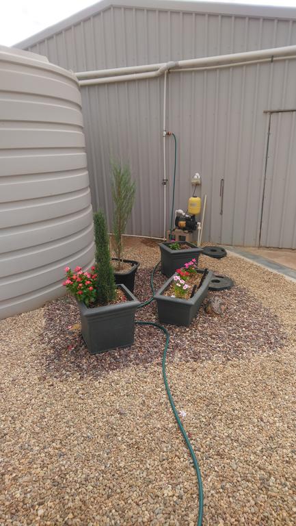 Chrissie's Dongara - C Tourism 2