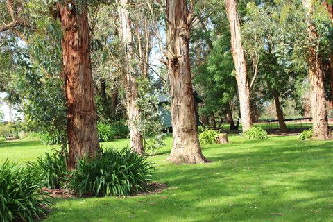 Clarendon Chalets - C Tourism 1