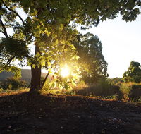 Clarendon Forest Retreat - C Tourism