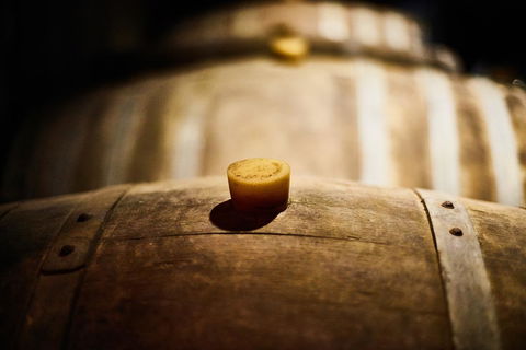 Cleveland Winery - C Tourism 3