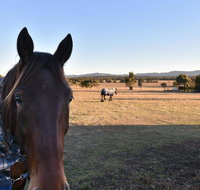Clydesdale Cottage on Talga with real Clydesdale Horses - C Tourism