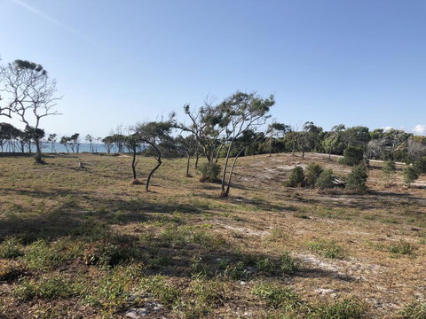 COONARR BEACH ( BUNDABERG )CAMPING - C Tourism 2