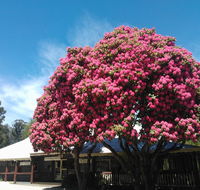 Crossways Country Inn - C Tourism