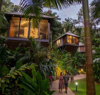 Daintree Ecolodge - C Tourism