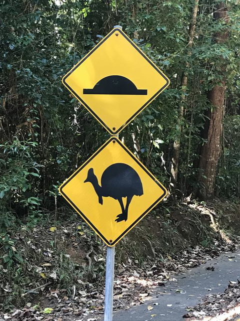 Daintree Magic - C Tourism 1