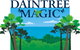 Daintree Magic - thumb 3