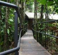 Daintree Wilderness Lodge - C Tourism