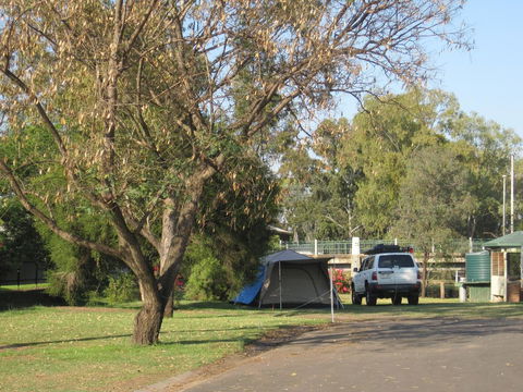 Dalby Tourist Park - C Tourism 3