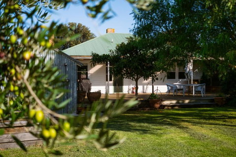 Deckhouse - C Tourism 0