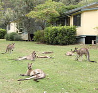 Depot Beach Cabins - C Tourism