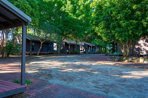 Dorrigo Mountain Holiday Park - C Tourism 1