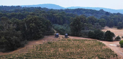 Double Oaks Tiny House - C Tourism 0