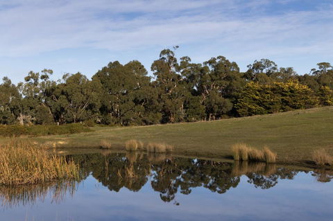Double Oaks Tiny House - C Tourism 1