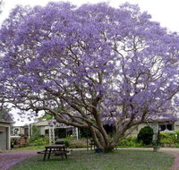 Ecotel Narooma - C Tourism