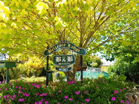 Eden Bed & Breakfast - C Tourism 0