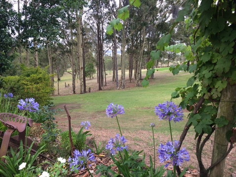Elfin Hill Vineyard Accommodation - C Tourism 2