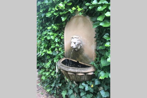 Elmswood BnB - C Tourism 2