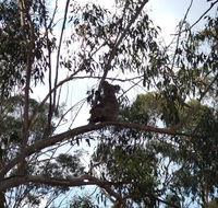 Escape to the Country - Enjoy the firepit or explore magical Bunya Mountains - C Tourism