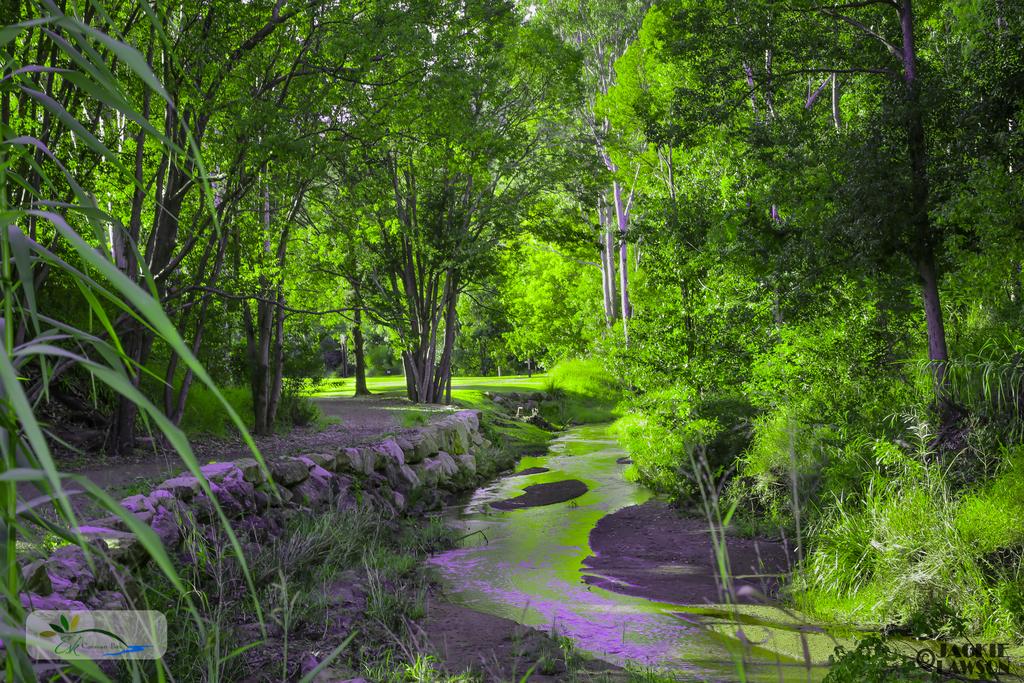 Moombra QLD C Tourism
