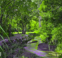 Esk Caravan Park  Rail Trail Motel - C Tourism