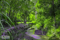 Book Esk Accommodation Vacations C Tourism C Tourism